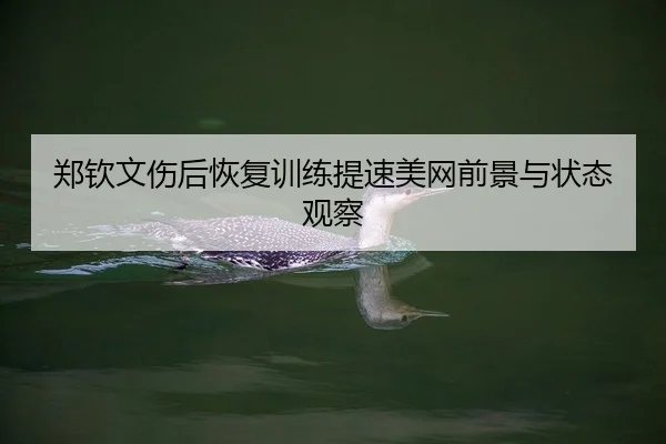 郑钦文伤后恢复训练提速美网前景与状态观察
